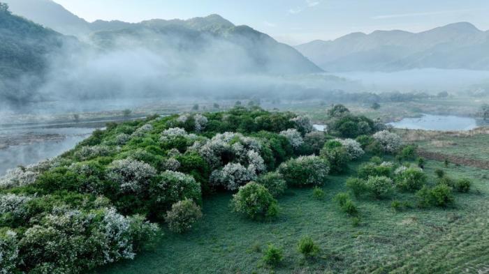 湖北神农架：云间湿地雾笼纱