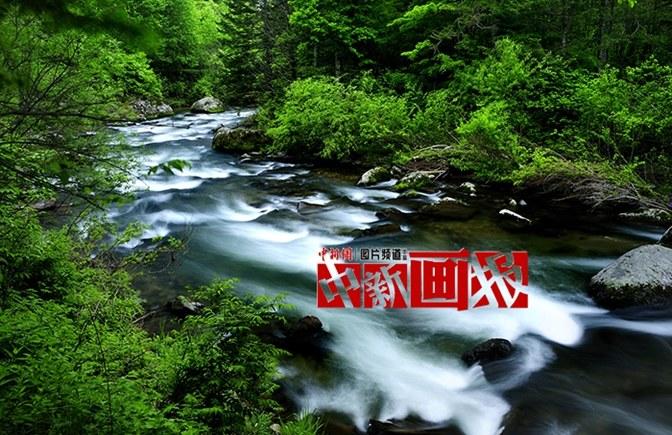 夏日“森”呼吸 一起步入避暑秘境