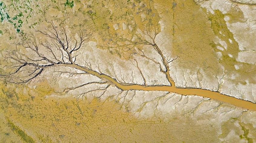 黄河河床现巨幅“水粉沙画”
