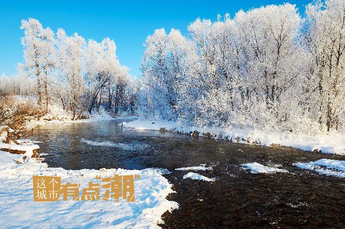 “中国林都”里藏着一封冬日情书