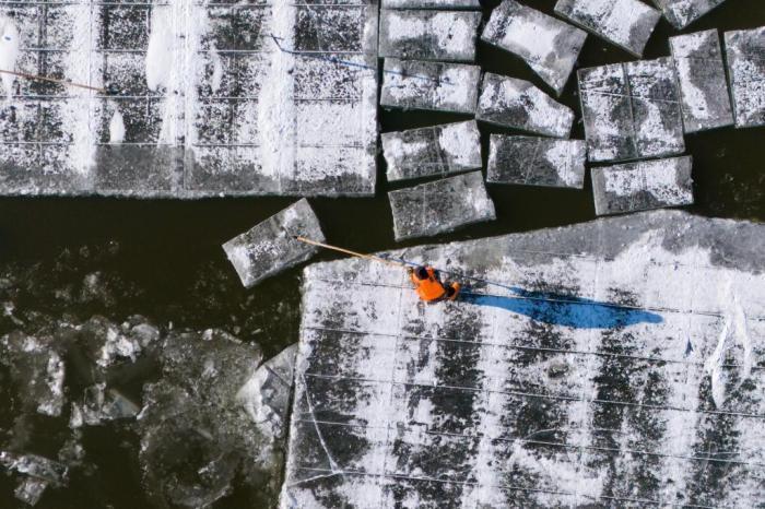 松花江哈尔滨段全面封冻 采冰工作井然有序