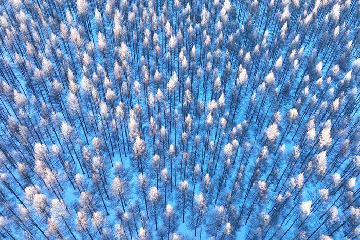 内蒙古呼伦贝尔：山林雾凇银装素裹如仙境