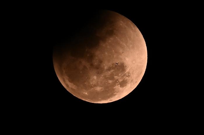 世界各地夜空升起“红月亮”